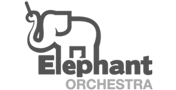 Elephant Orchestra